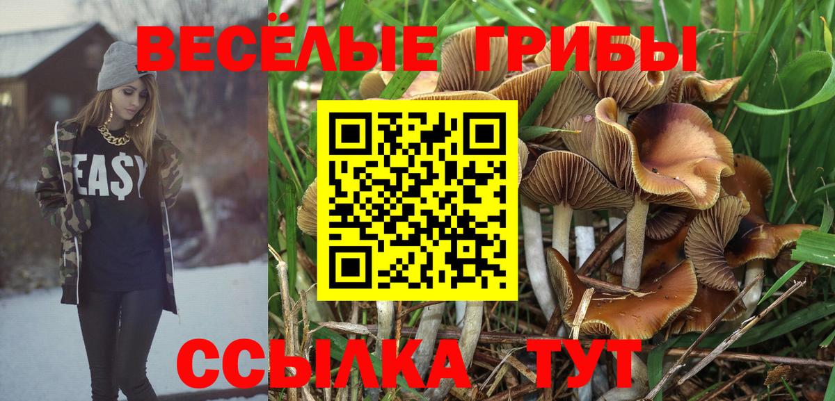 Алексеевка  Псилоцибиновые грибы Psilocybine cubensis  цены   Вход с VPN 